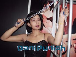 DaniPunish
