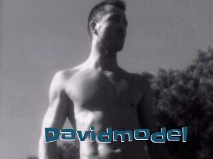 Davidmodel