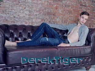 DerekTiger