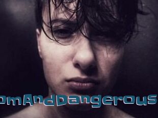 DomAndDangerous