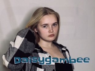 Daisygambee