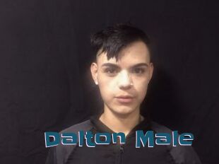 Dalton_Male