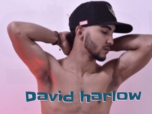 David_harlow