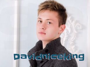Davidniceking