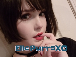 EllePurrsXO