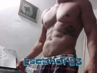 Escanor23