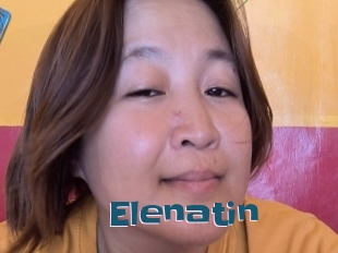 Elenatin