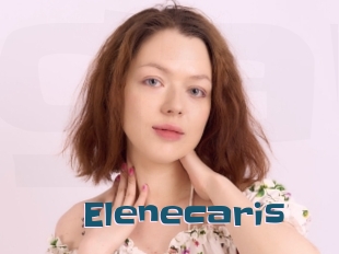 Elenecaris
