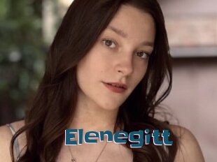Elenegitt