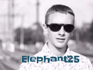 Elephant25