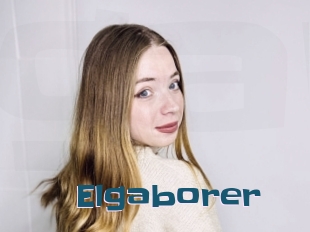Elgaborer