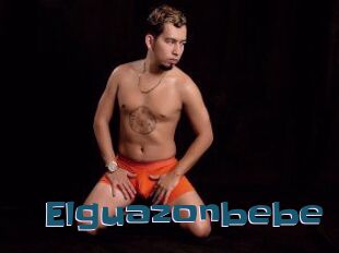 Elguazonbebe