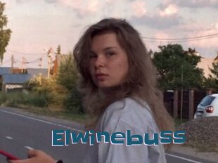 Elwinebuss