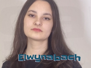 Elwynabach
