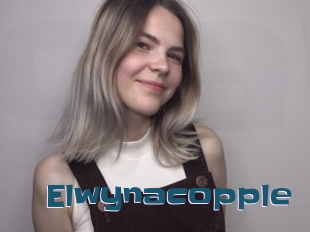 Elwynacopple