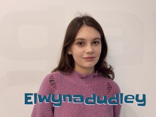 Elwynadudley