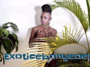 Exoticebonycock