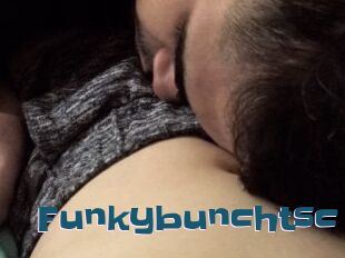 Funkybunchtsc