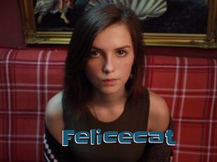 Felicecat