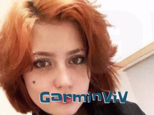 GarminViV