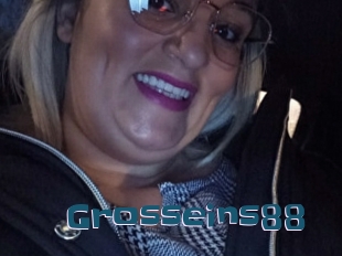 Grosseins88