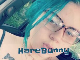 HareBunny