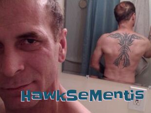 HawkSeMentis