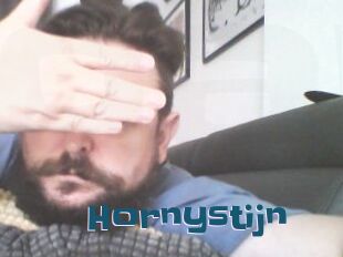 Hornystijn