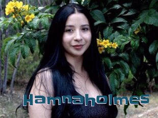 Hamnaholmes