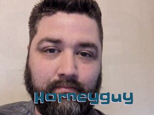 Horneyguy