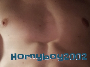 Hornyboy2002