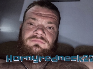 Hornyredneck22
