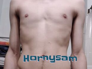 Hornysam