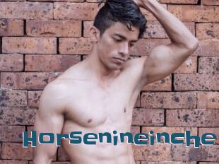 Horsenineinche
