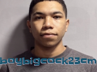 Hotboybigcock23cm