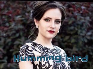 Humming_bird