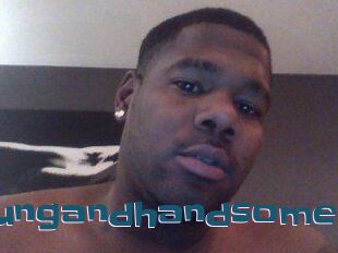 Hungandhandsome