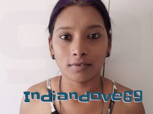 Indiandove69