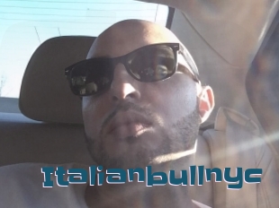 Italianbullnyc