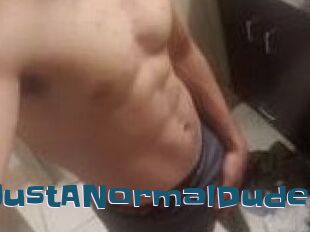 JustANormalDude