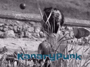 KanaryPunk