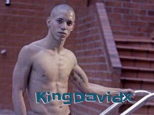 KingDavidx