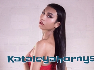 Kataleyahornys