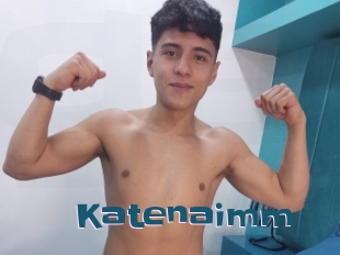 Katenaimm