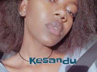 Kesandu