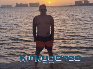 Kinkygonzo