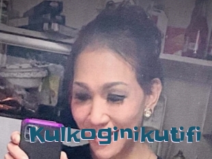 Kulkoginikutifi