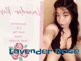 Lavender_Rose
