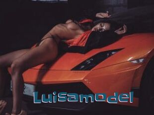 Luisamodel