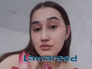 Lamareed